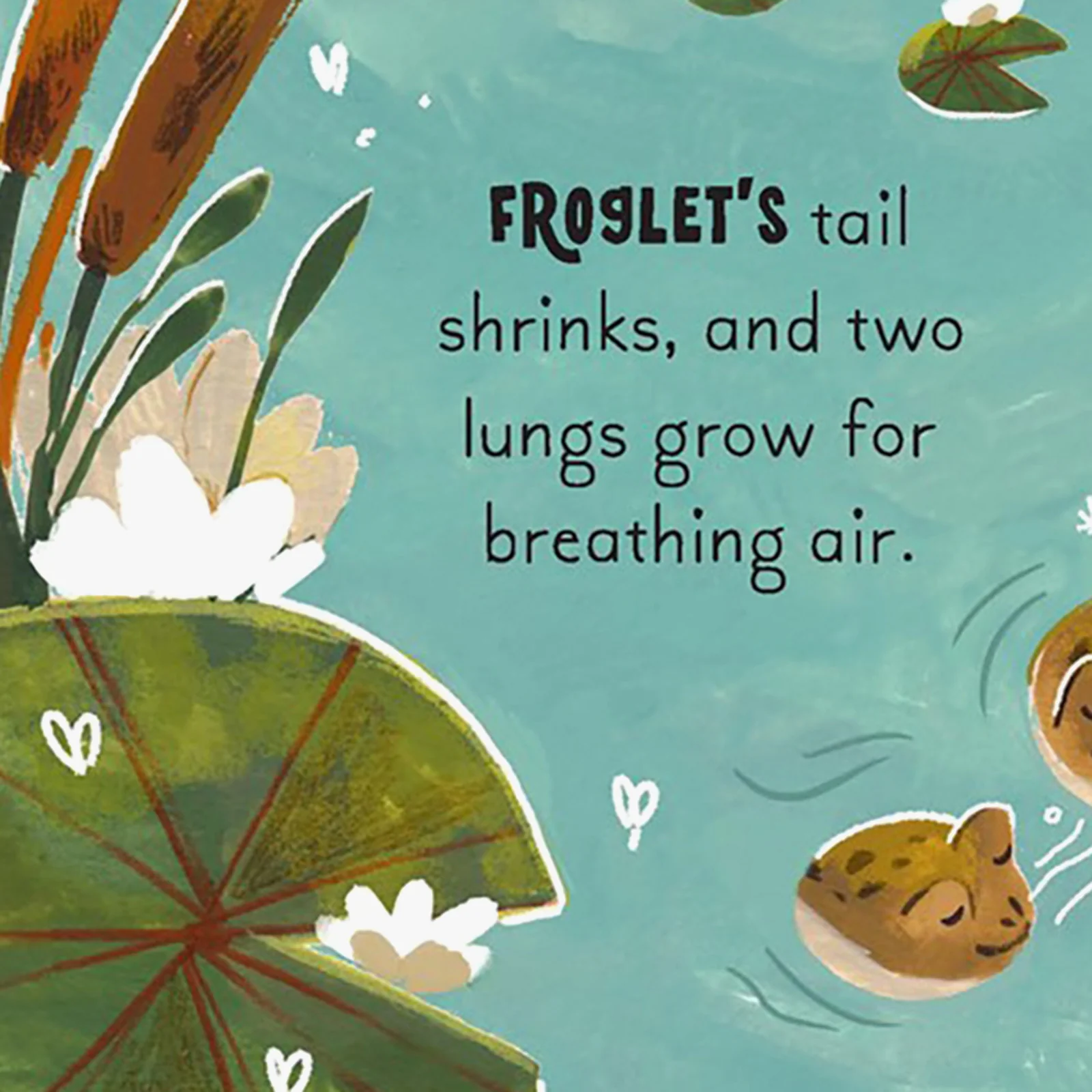 5 Minute Nature Story Box Board Book Set - Image 5