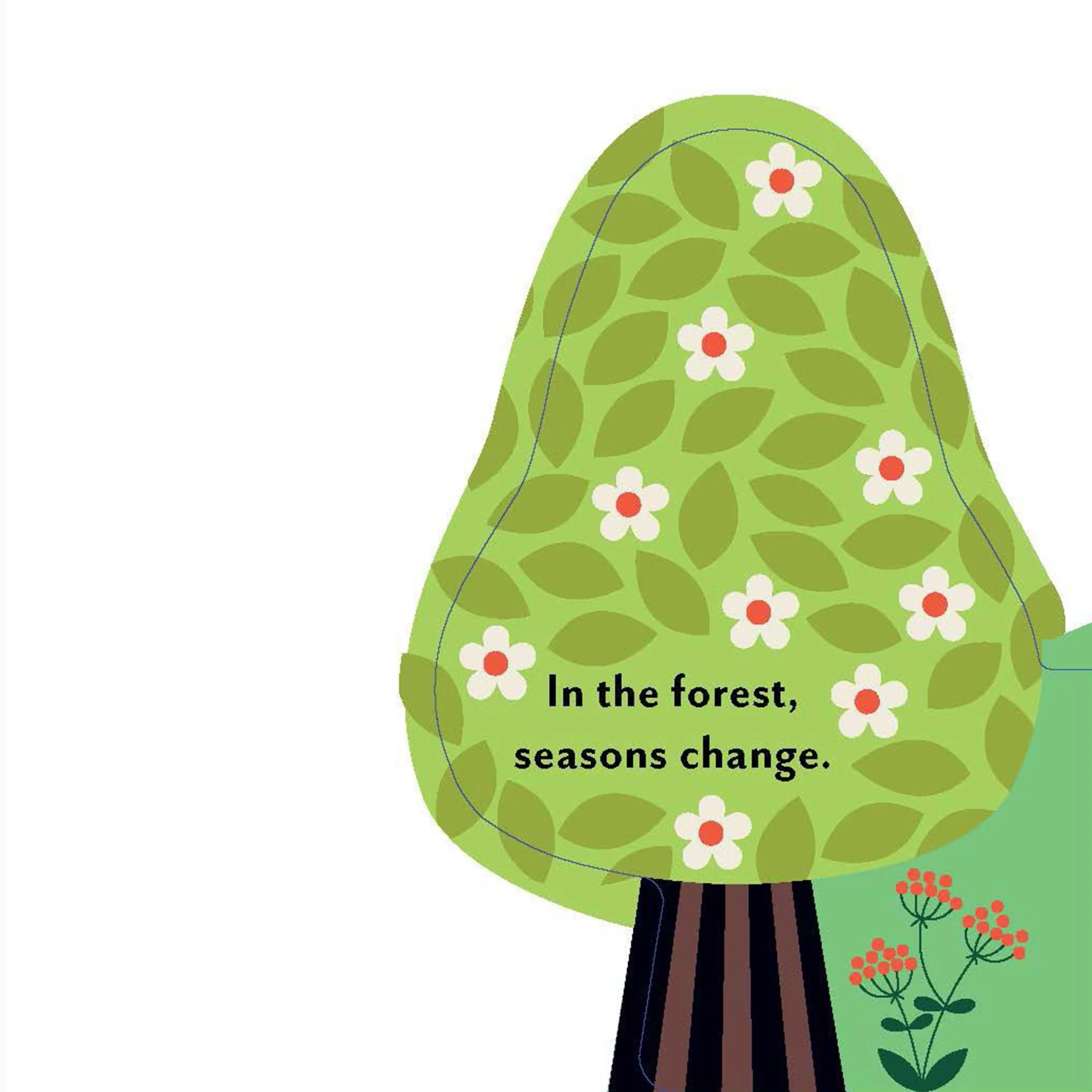 A Forest's Seasons Board Book - Image 2