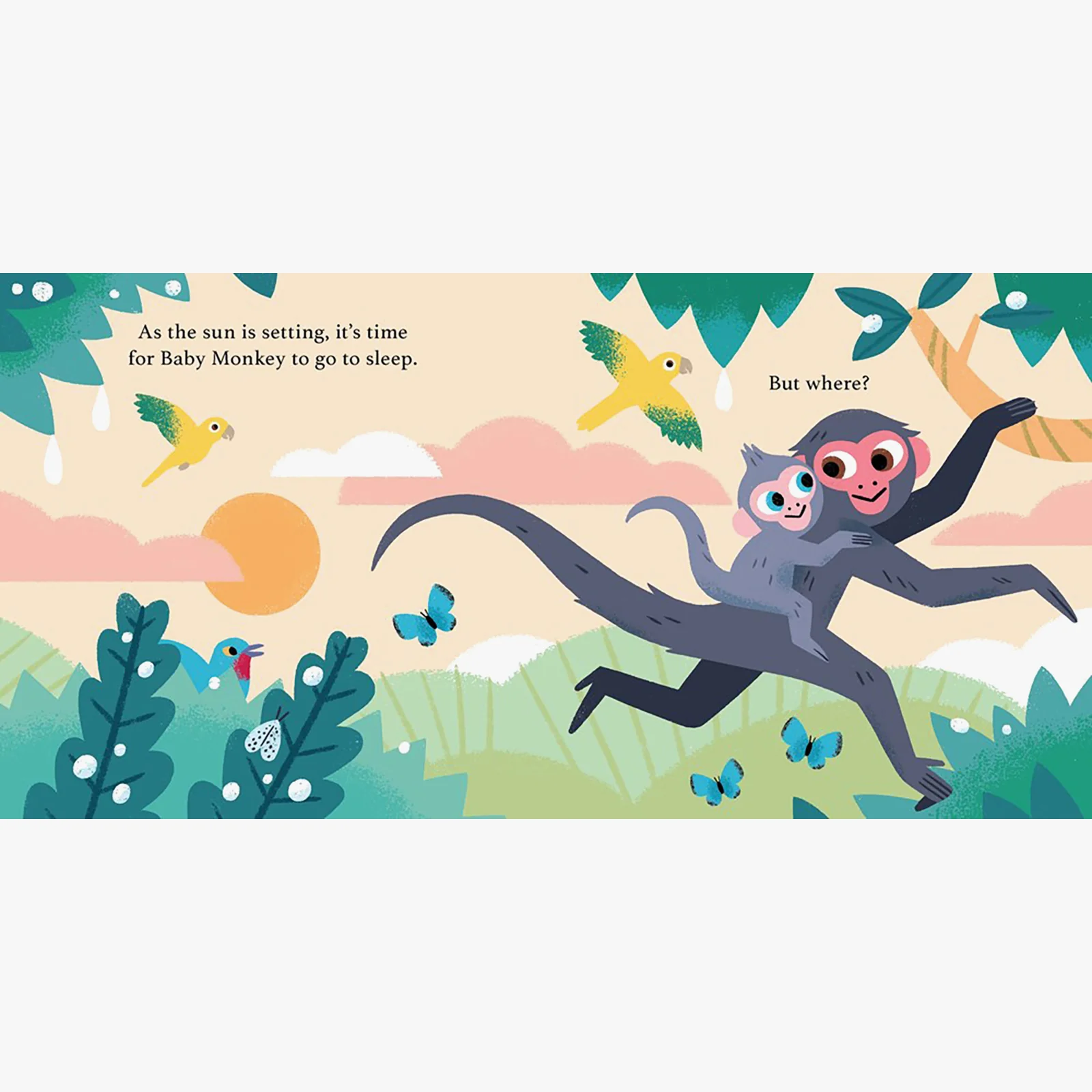 Can I Sleep Here? Baby Monkey Board Book - Image 2