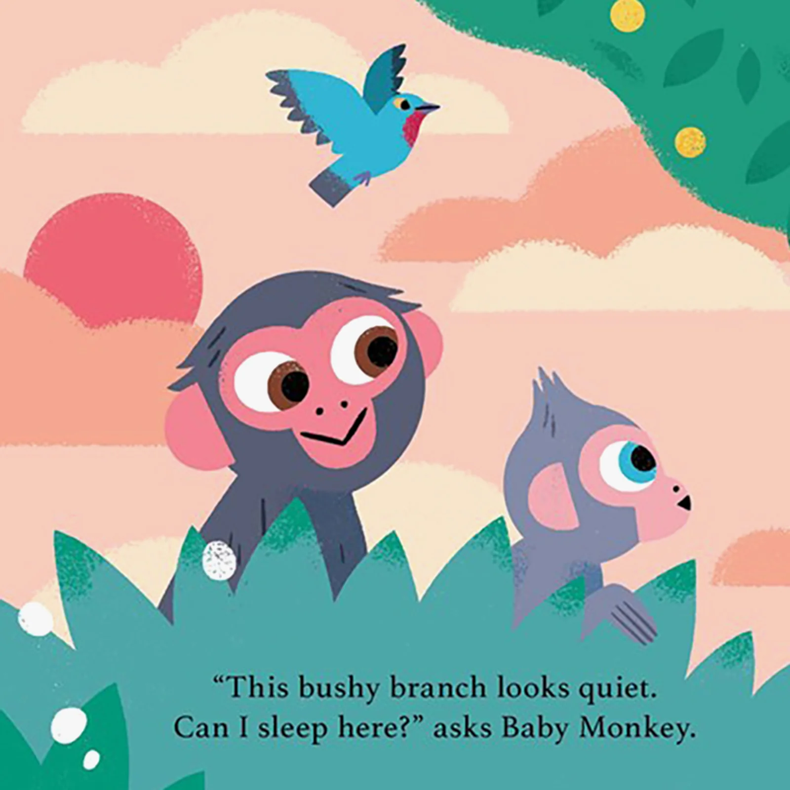 Can I Sleep Here? Baby Monkey Board Book - Image 3