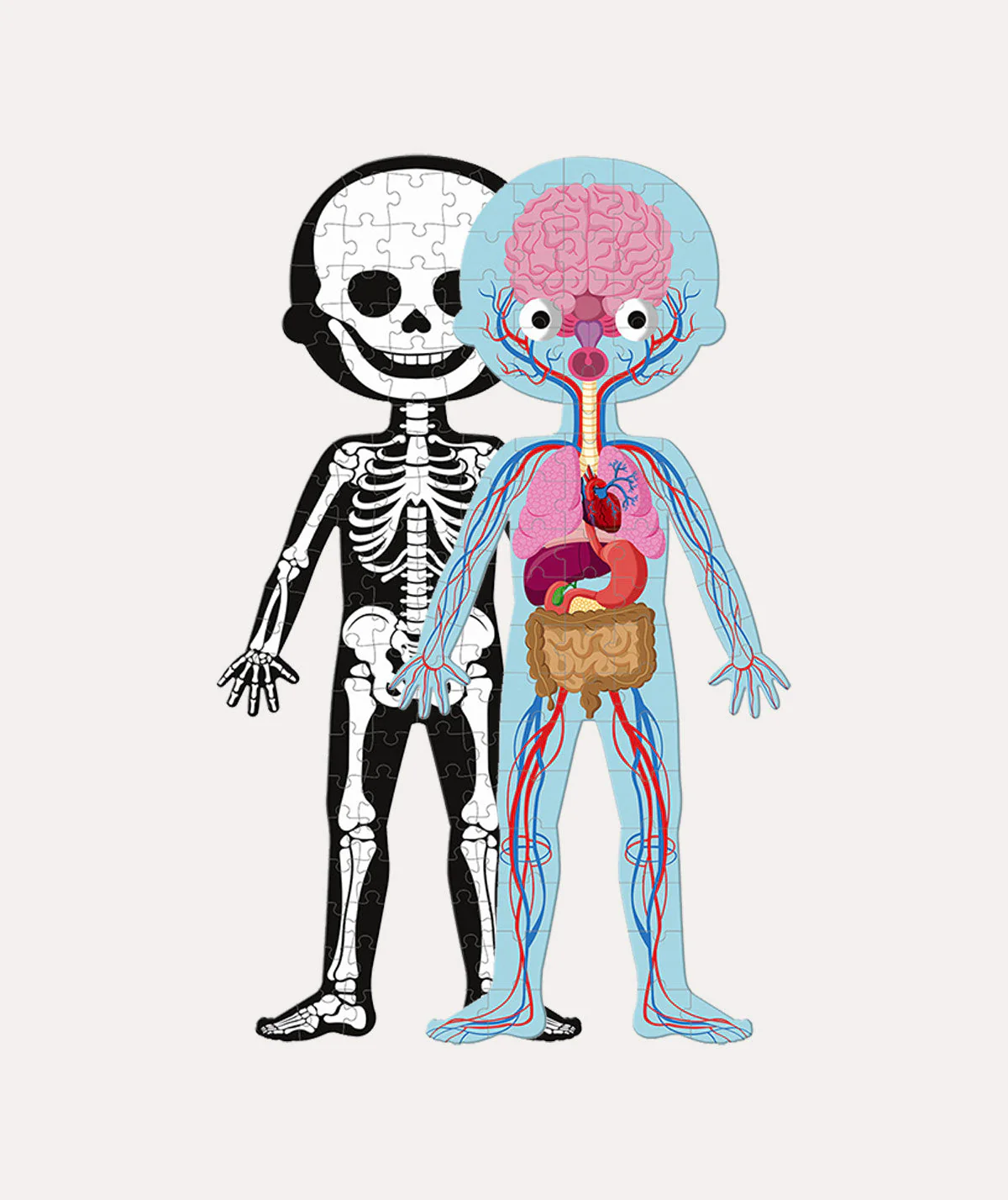 Janod Educational Puzzle Human Body - Image 2