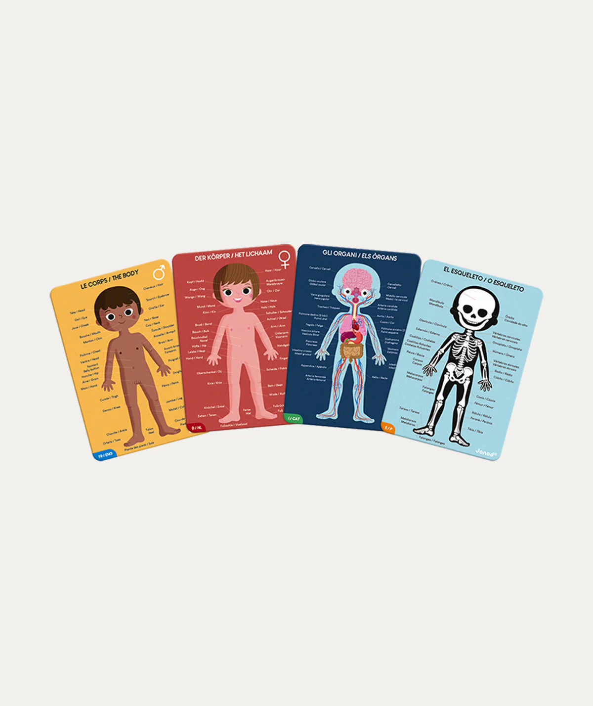 Janod Educational Puzzle Human Body - Image 5