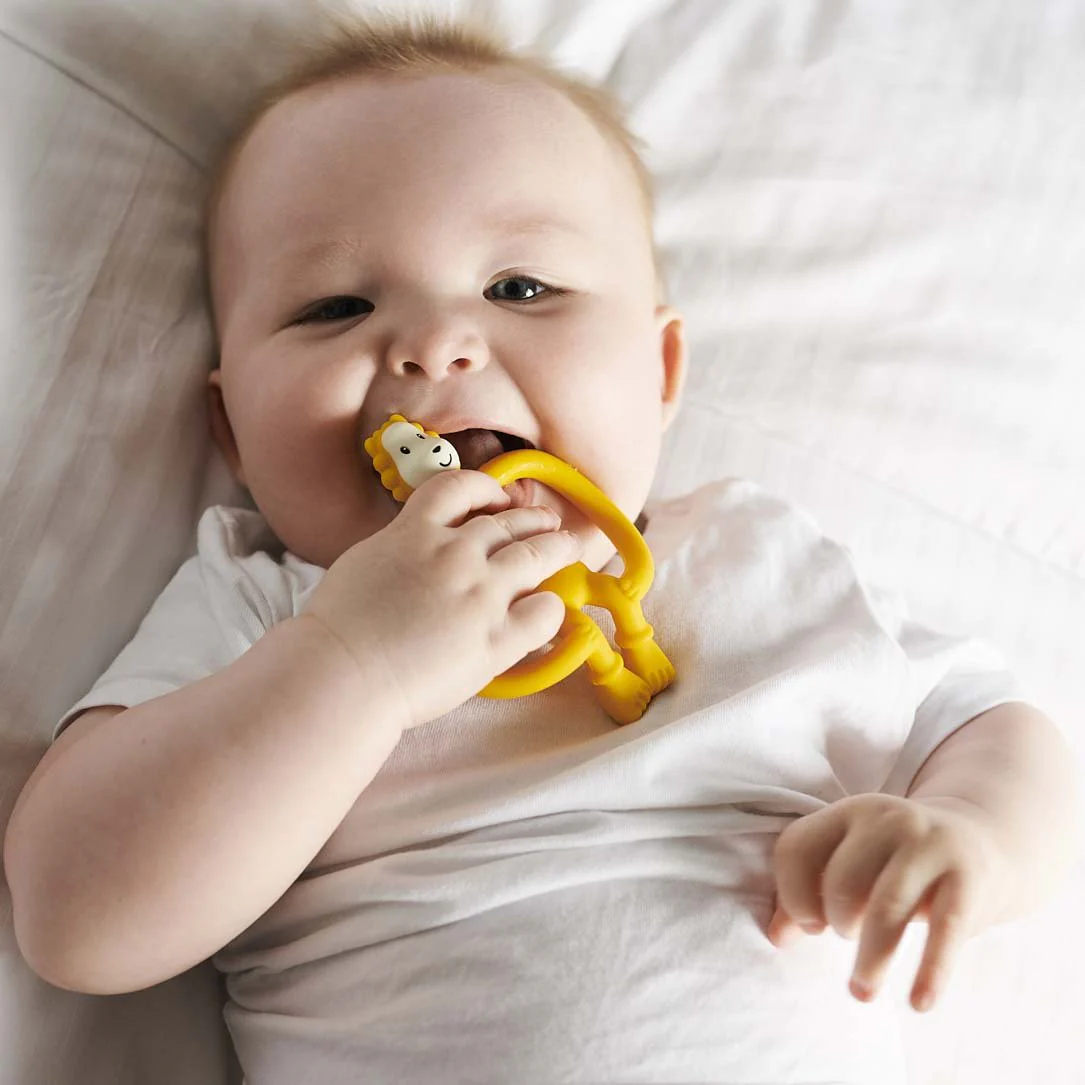 Matchstick Monkey Ludo Lion Teething Starter Gift Set - Image 4