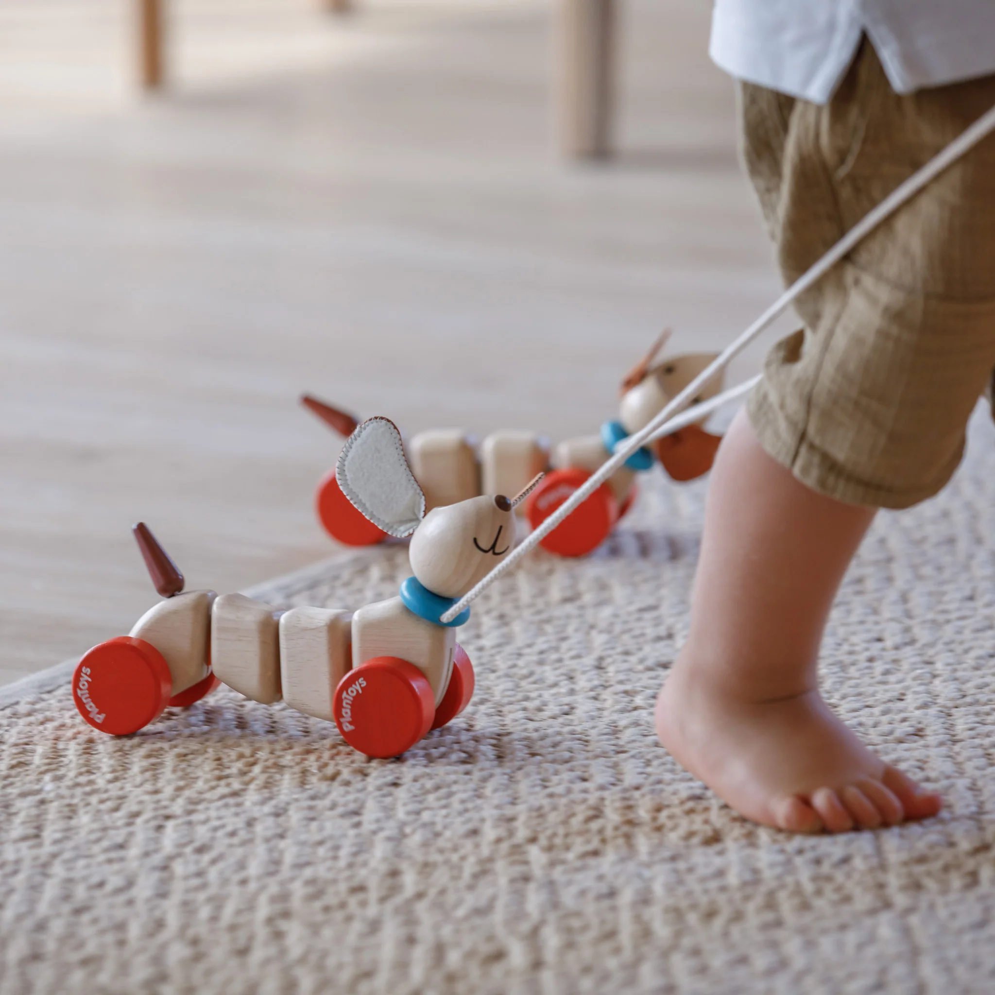 PlanToys Happy Puppy Toy - Image 3