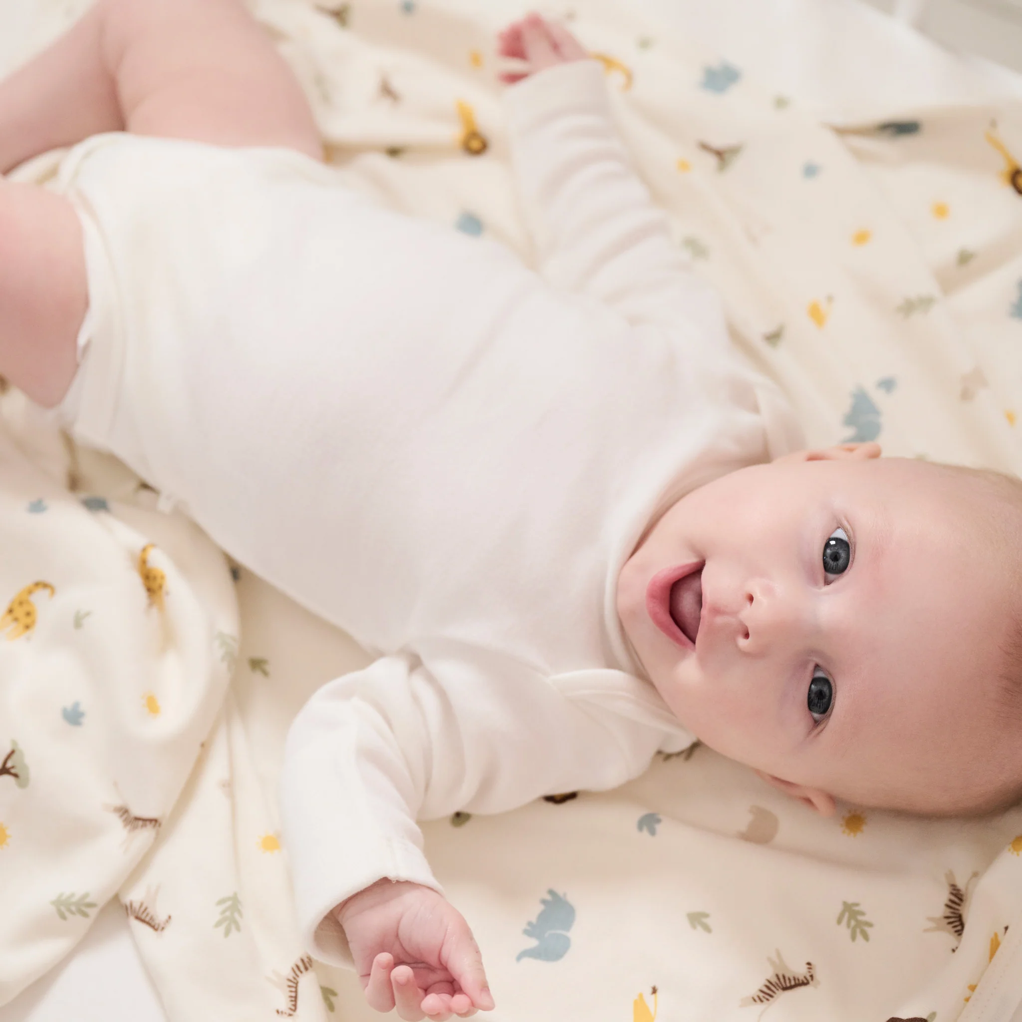Safari Signature Baby Blanket - Image 6