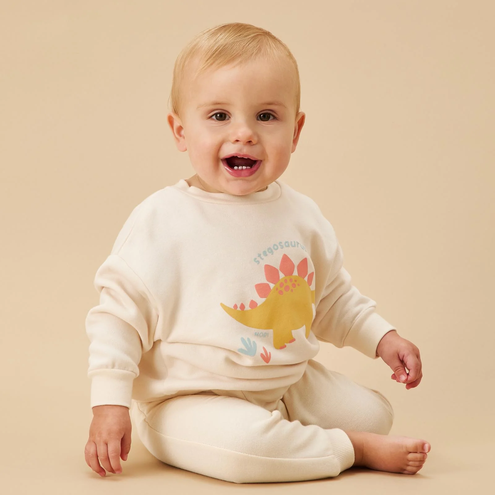 Stegosaurus Sweatshirt & Comfy Joggers Outfit