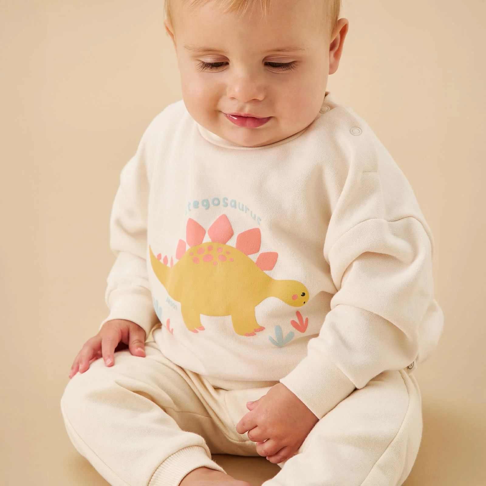 Stegosaurus Sweatshirt & Comfy Joggers Outfit - Image 2