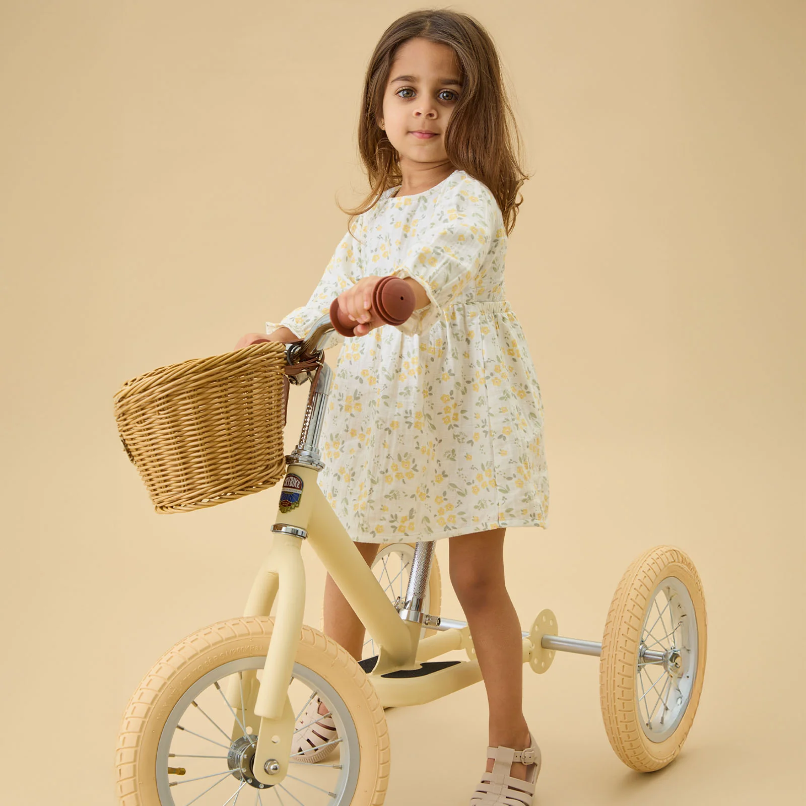 Trybike basket