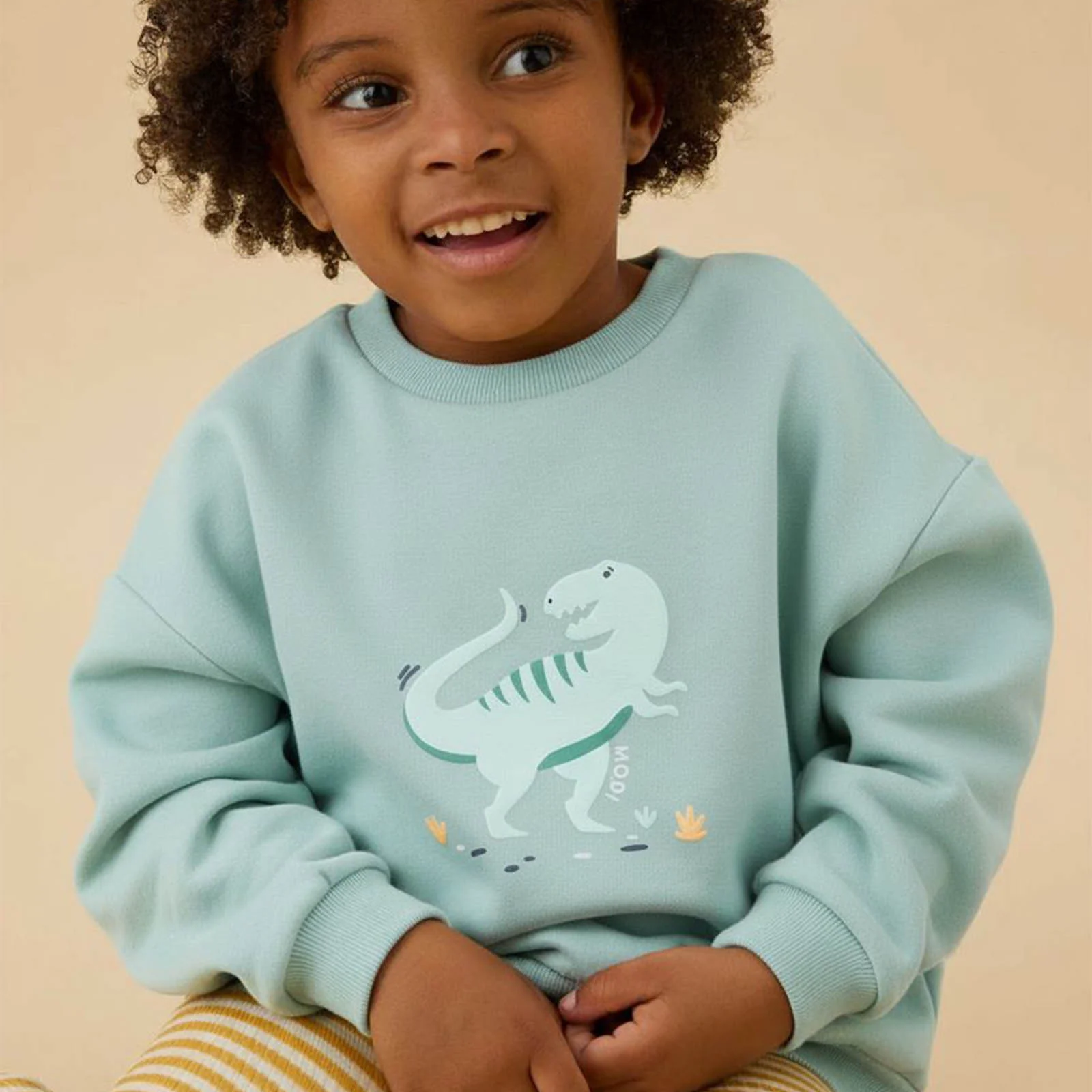 Tyrannosaurus Rex Dinosaur Oversized Sweatshirt